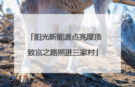 阳光新能源点亮屋顶 致富之路照进三家村