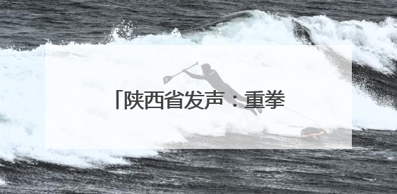 陕西省发声：重拳出击、高压震慑