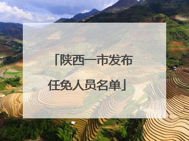 陕西一市发布任免人员名单