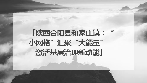 陕西合阳县和家庄镇：“小网格”汇聚“大能量” 激活基层治理新动能