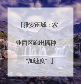 雅安雨城：农业园区跑出播种“加速度”