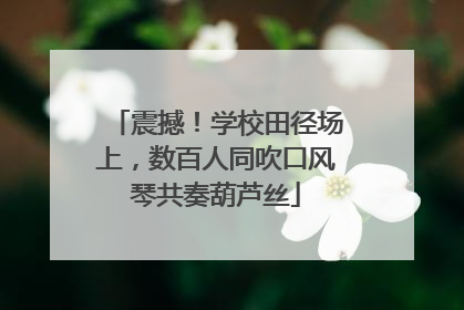震撼！学校田径场上，数百人同吹口风琴共奏葫芦丝