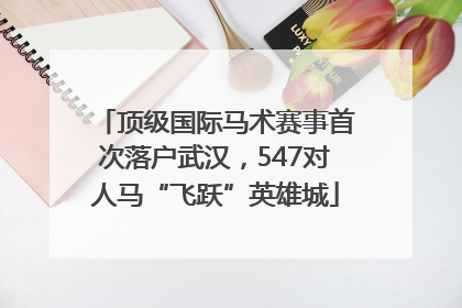 顶级国际马术赛事首次落户武汉，547对人马“飞跃”英雄城