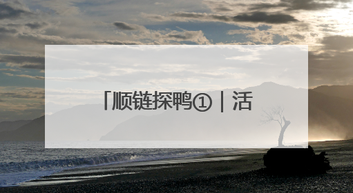 顺链探鸭①｜活鸭20元一斤，街头烤鸭为何却能卖到20多元一只