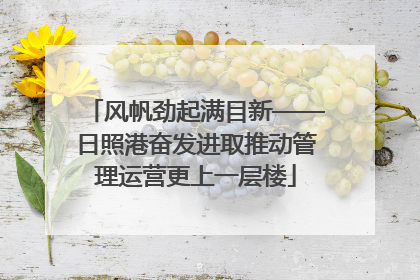 风帆劲起满目新——日照港奋发进取推动管理运营更上一层楼