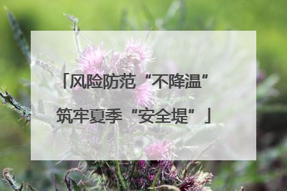 风险防范“不降温” 筑牢夏季“安全堤”