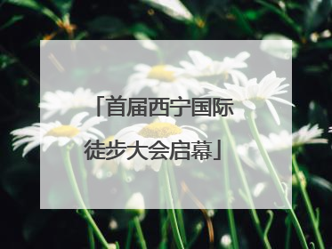 首届西宁国际徒步大会启幕