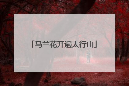 马兰花开遍太行山