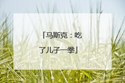 马斯克：吃了儿子一拳