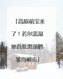高原萌宝来了！若尔盖湿地首批黑颈鹤雏鸟破壳