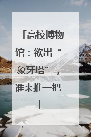 高校博物馆：欲出“象牙塔”，谁来推一把