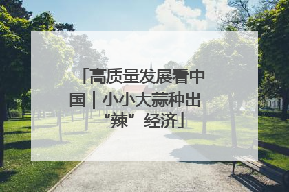 高质量发展看中国｜小小大蒜种出“辣”经济