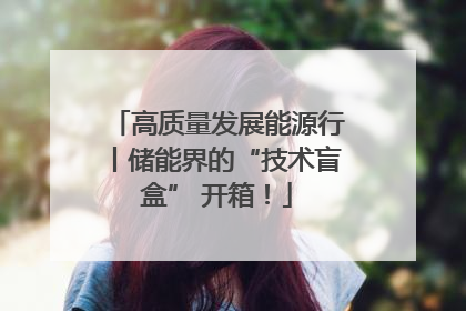 高质量发展能源行丨储能界的“技术盲盒” 开箱！