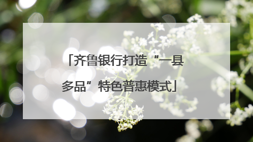齐鲁银行打造“一县多品”特色普惠模式