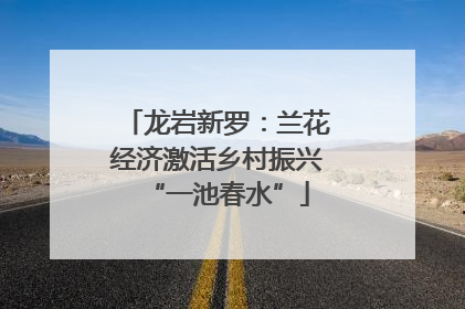 龙岩新罗：兰花经济激活乡村振兴“一池春水”