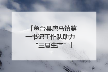 鱼台县唐马镇第一书记工作队助力“三夏生产”