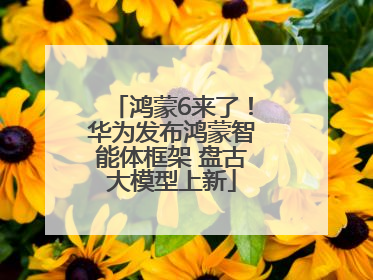 鸿蒙6来了！华为发布鸿蒙智能体框架 盘古大模型上新