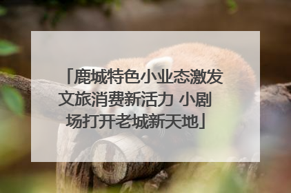 鹿城特色小业态激发文旅消费新活力 小剧场打开老城新天地