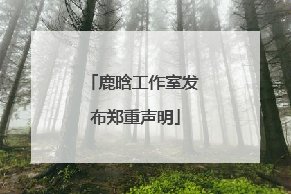 鹿晗工作室发布郑重声明