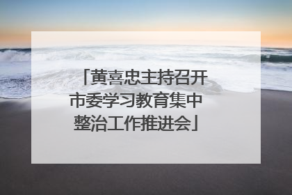 黄喜忠主持召开市委学习教育集中整治工作推进会