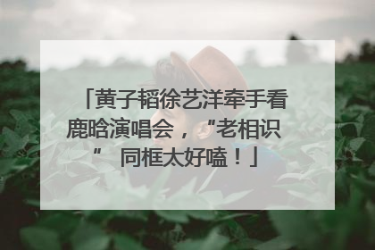 黄子韬徐艺洋牵手看鹿晗演唱会，“老相识” 同框太好嗑！