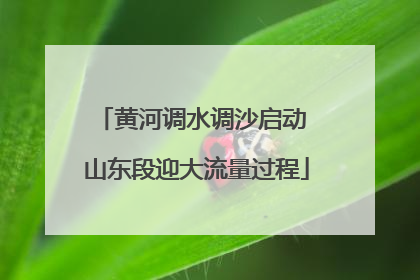 黄河调水调沙启动 山东段迎大流量过程