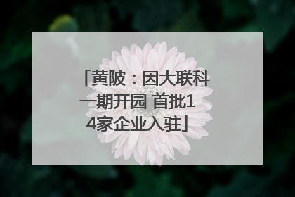 黄陂：因大联科一期开园 首批14家企业入驻