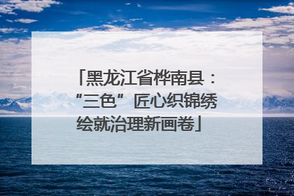 黑龙江省桦南县：“三色”匠心织锦绣 绘就治理新画卷