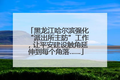 黑龙江哈尔滨强化“派出所主防”工作，让平安建设触角延伸到每个角落……