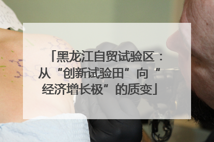 黑龙江自贸试验区：从“创新试验田”向“经济增长极”的质变