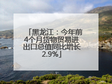 黑龙江：今年前4个月货物贸易进出口总值同比增长2.9%