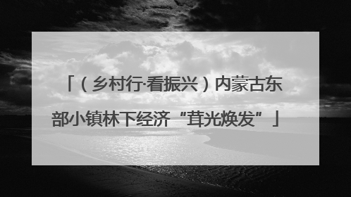 （乡村行·看振兴）内蒙古东部小镇林下经济“茸光焕发”