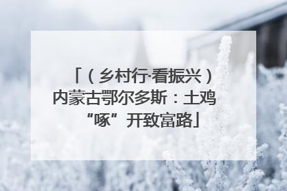 （乡村行·看振兴）内蒙古鄂尔多斯：土鸡“啄”开致富路