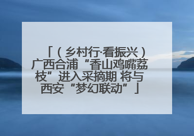 （乡村行·看振兴）广西合浦“香山鸡嘴荔枝”进入采摘期 将与西安“梦幻联动”