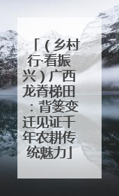 （乡村行·看振兴）广西龙脊梯田：背篓变迁见证千年农耕传统魅力