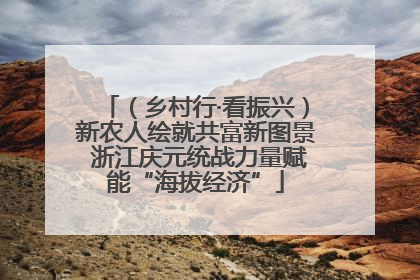 （乡村行·看振兴）新农人绘就共富新图景 浙江庆元统战力量赋能“海拔经济”