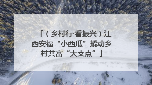 （乡村行·看振兴）江西安福“小西瓜”撬动乡村共富“大支点”