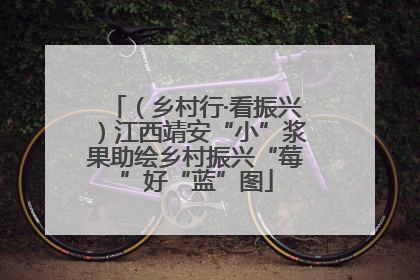 （乡村行·看振兴）江西靖安“小”浆果助绘乡村振兴“莓”好“蓝”图