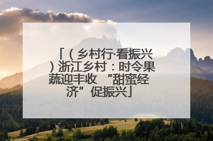 （乡村行·看振兴）浙江乡村：时令果蔬迎丰收 “甜蜜经济”促振兴