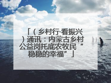 （乡村行·看振兴）通讯：内蒙古乡村公益岗托底农牧民“稳稳的幸福”