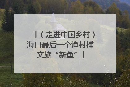 （走进中国乡村）海口最后一个渔村捕文旅“新鱼”