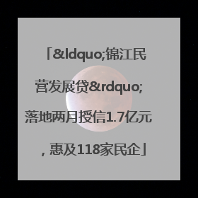 “锦江民营发展贷”落地两月授信1.7亿元，惠及118家民企