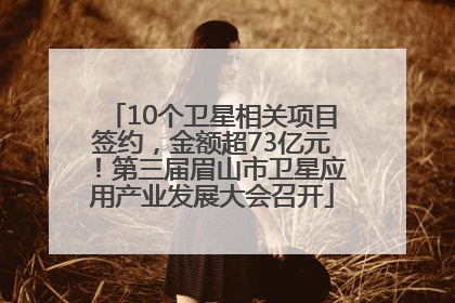 10个卫星相关项目签约，金额超73亿元！第三届眉山市卫星应用产业发展大会召开