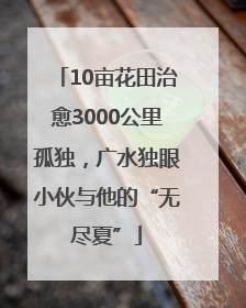 10亩花田治愈3000公里孤独，广水独眼小伙与他的“无尽夏”