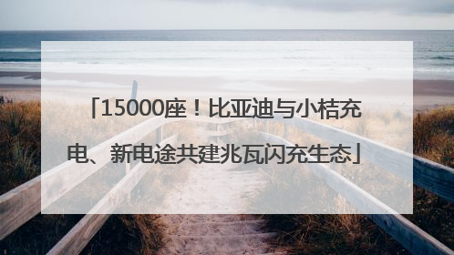 15000座！比亚迪与小桔充电、新电途共建兆瓦闪充生态