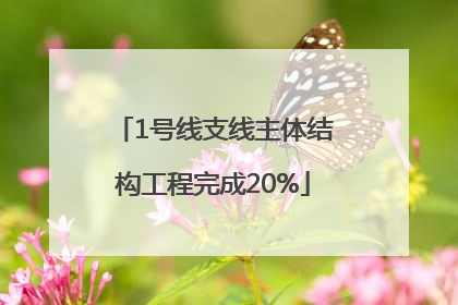 1号线支线主体结构工程完成20%