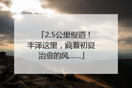 2.5公里慢道！丰泽这里，藏着初夏治愈的风……