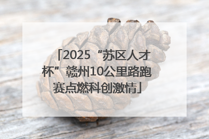 2025“苏区人才杯”赣州10公里路跑赛点燃科创激情