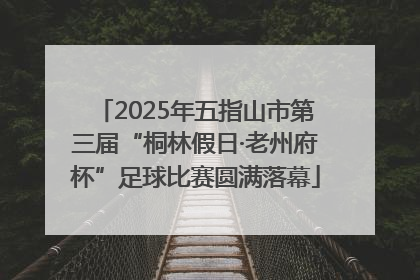 2025年五指山市第三届“桐林假日·老州府杯”足球比赛圆满落幕