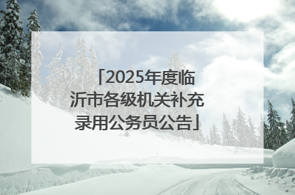 2025年度临沂市各级机关补充录用公务员公告